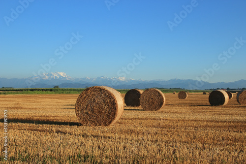 hay bales