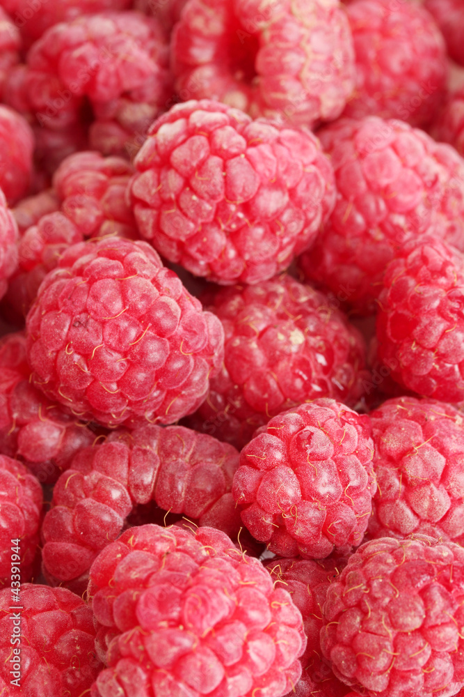 ripe raspberries background. ripe raspberries background.
