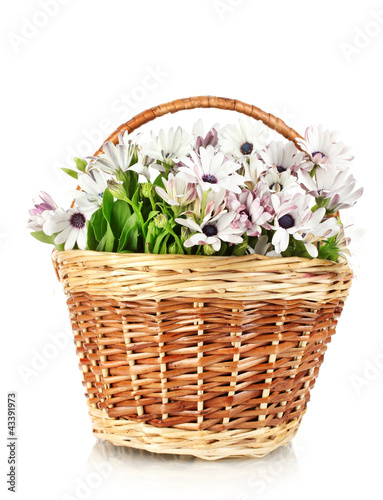 bouquet of beautiful summer flowers in basket, isolated on © Africa Studio