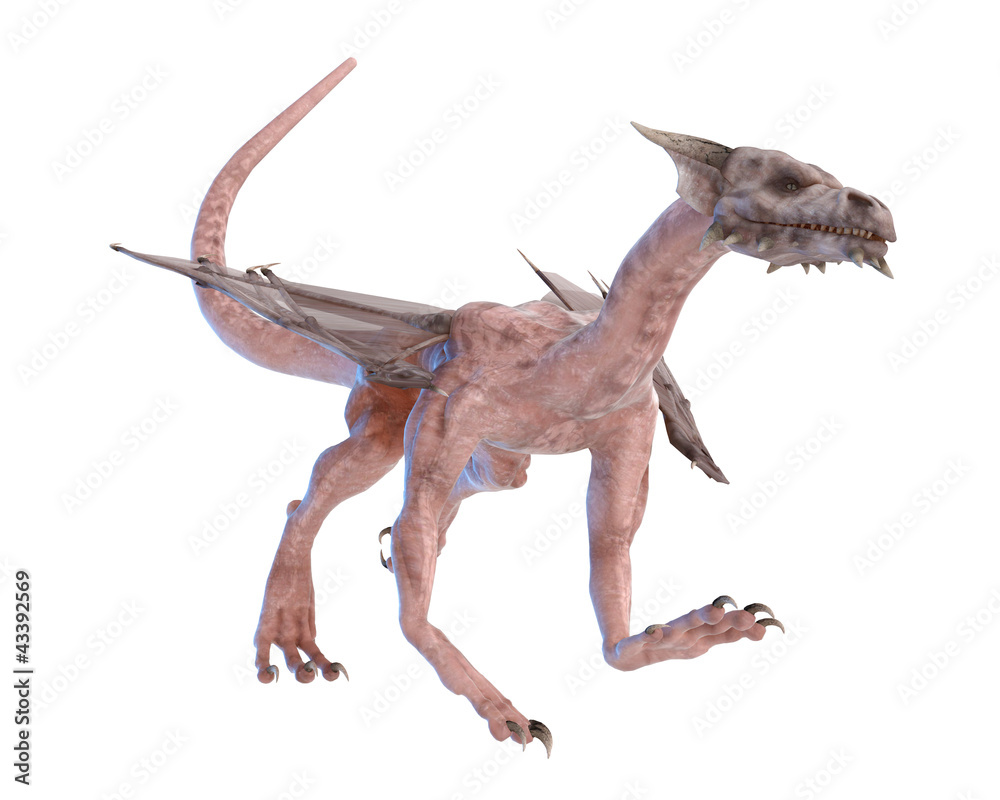 white dragon walking white dragon walking