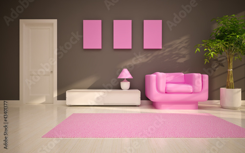 modern living room  with  pink chair