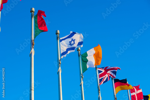 Memorial Flags
