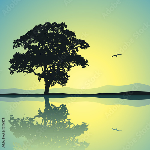 A Single Tree Standing Alone with Reflection in Water