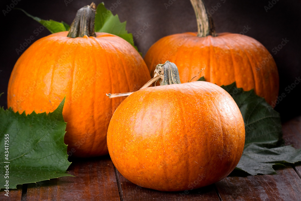 fresh pumpkins fresh pumpkins