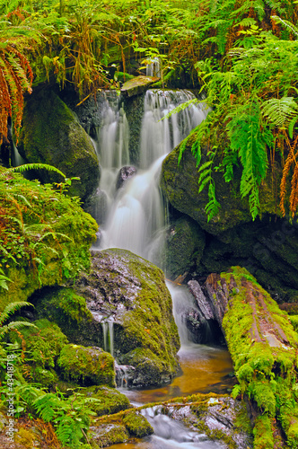 Hidden Falls in a fern Grotto