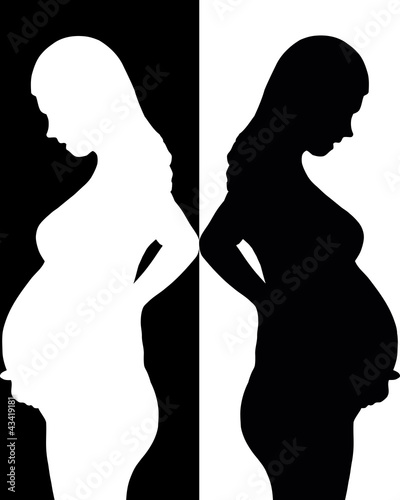The Silhouette of the pregnant woman.