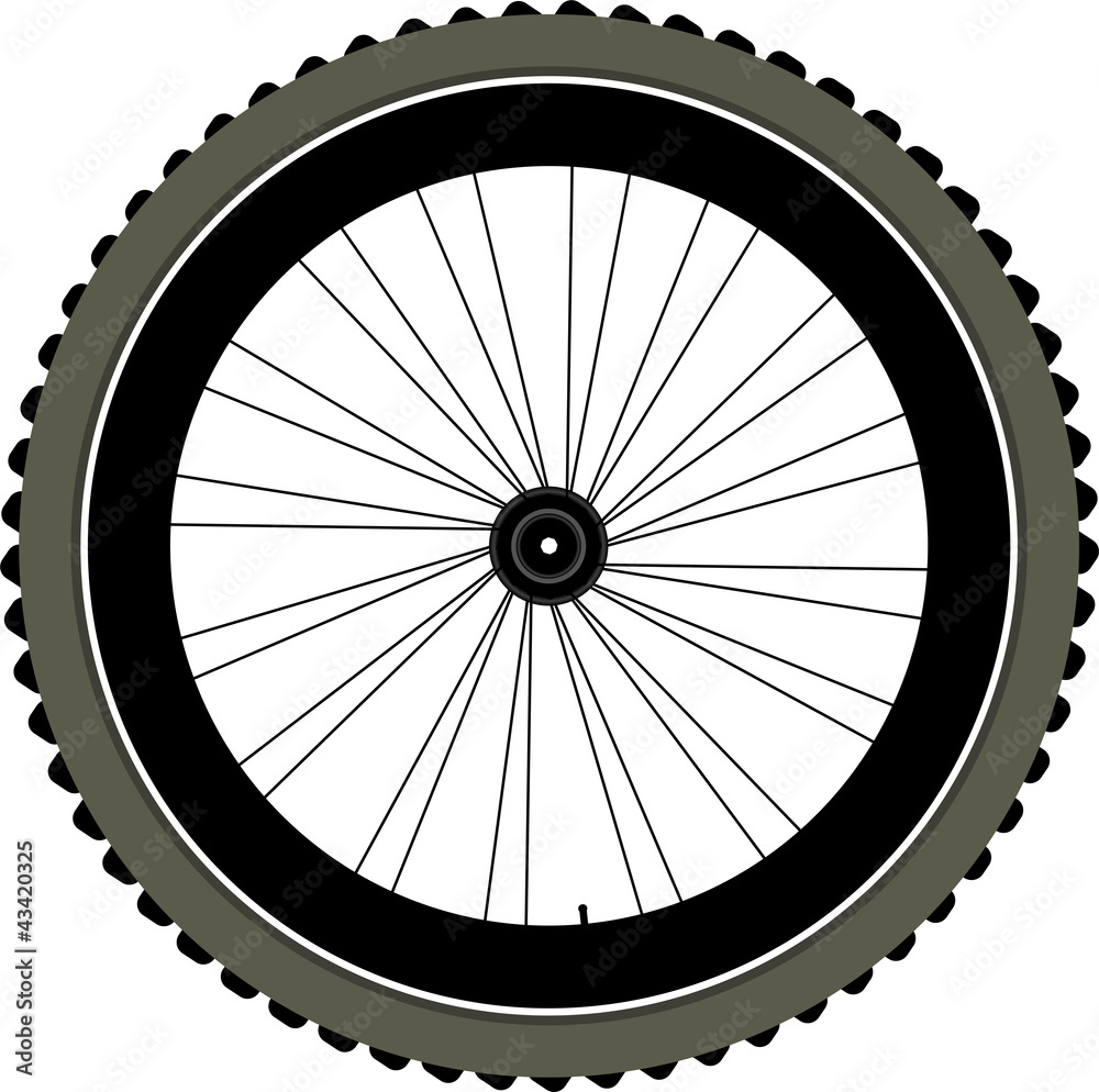 bike wheel with tire and spokes isolated on white bike wheel with tire and spokes isolated on white