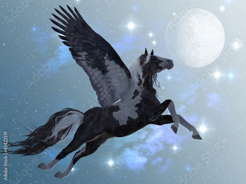 Pegasus 03