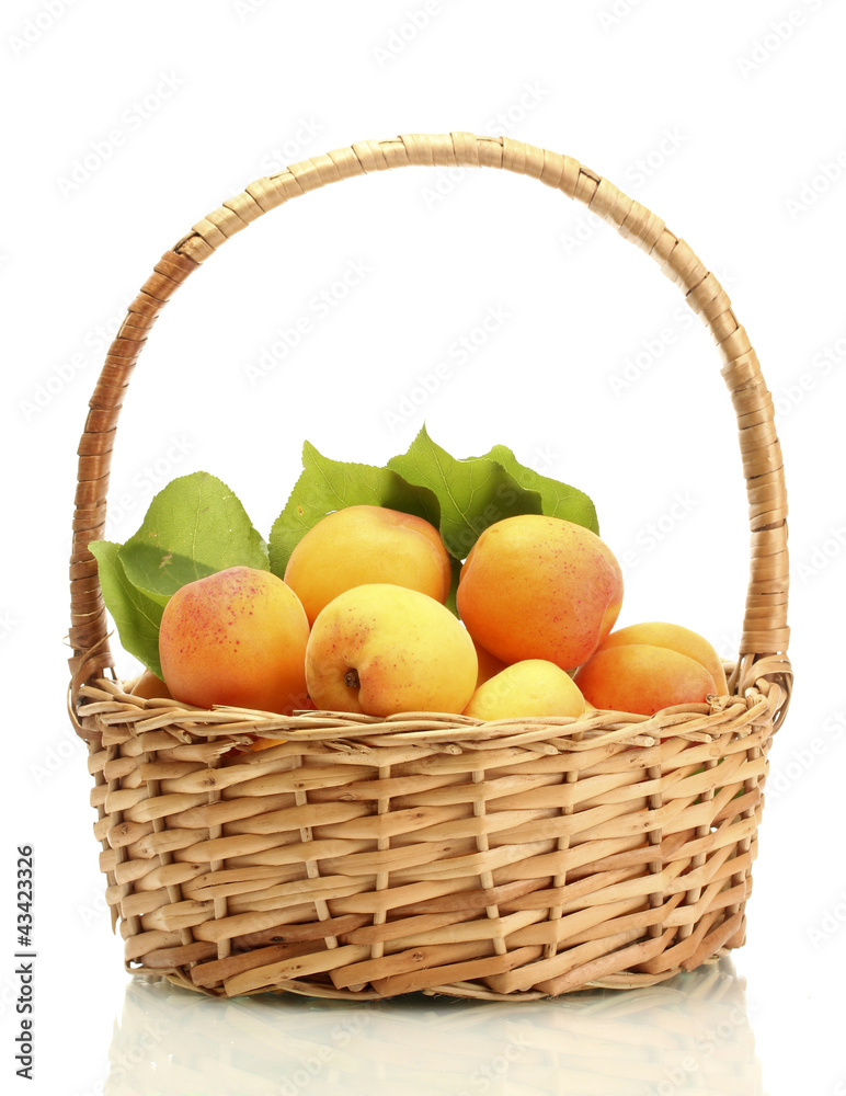 ripe apricots with green leaves in basket isolated on white ripe apricots with green leaves in basket isolated on white