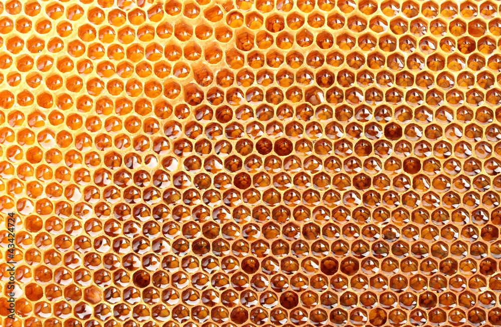 yellow beautiful honeycomb with honey, background yellow beautiful honeycomb with honey, background