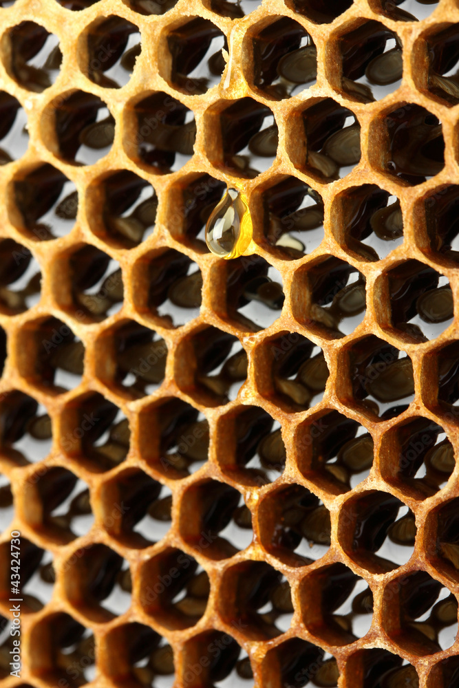 yellow beautiful honeycomb with honey, background yellow beautiful honeycomb with honey, background