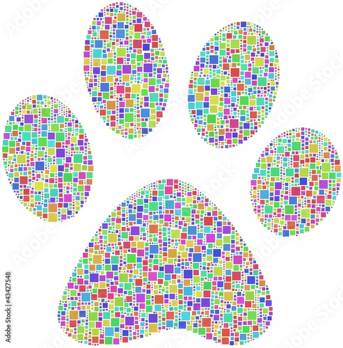 Pet footprint in a mosaic of harlequin squares