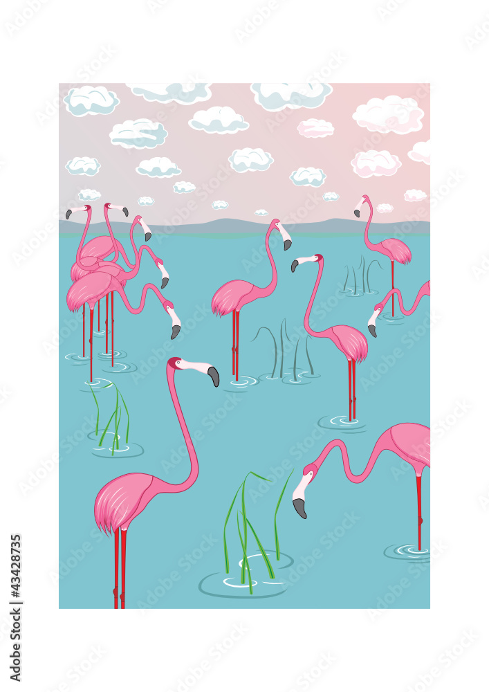 Pink flamingos on the bay. Vector illustration