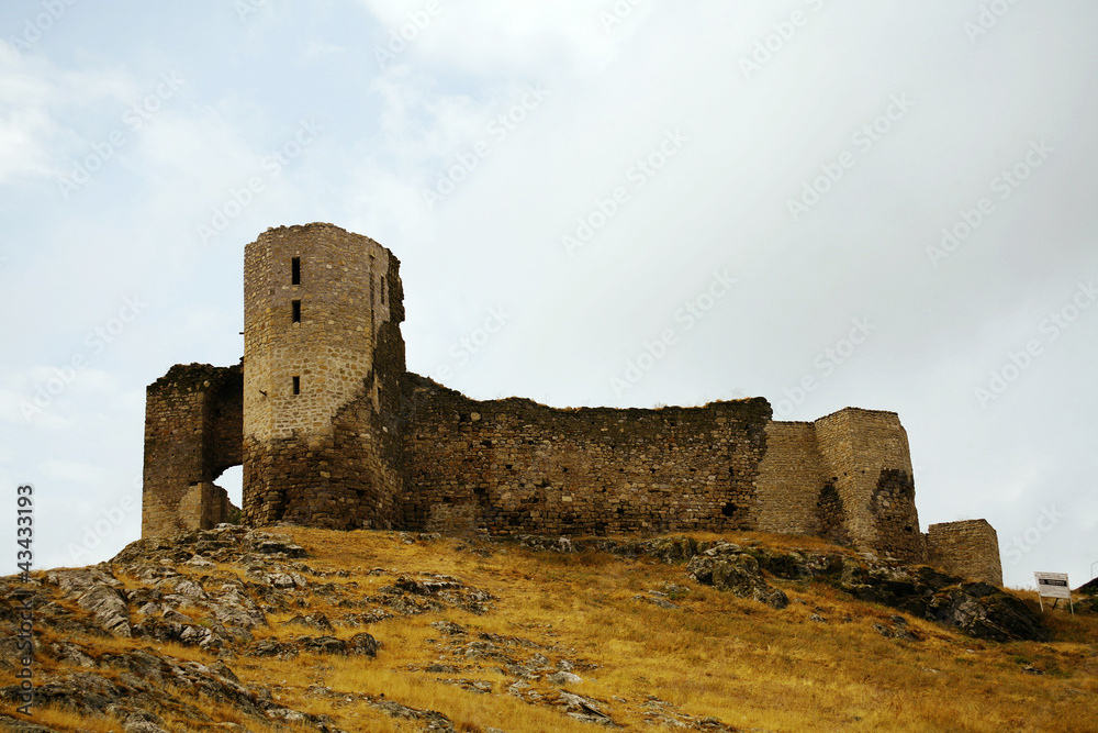 The Ruins of Medieval Castle