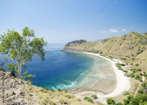 beach and coast near dili in east timor photo