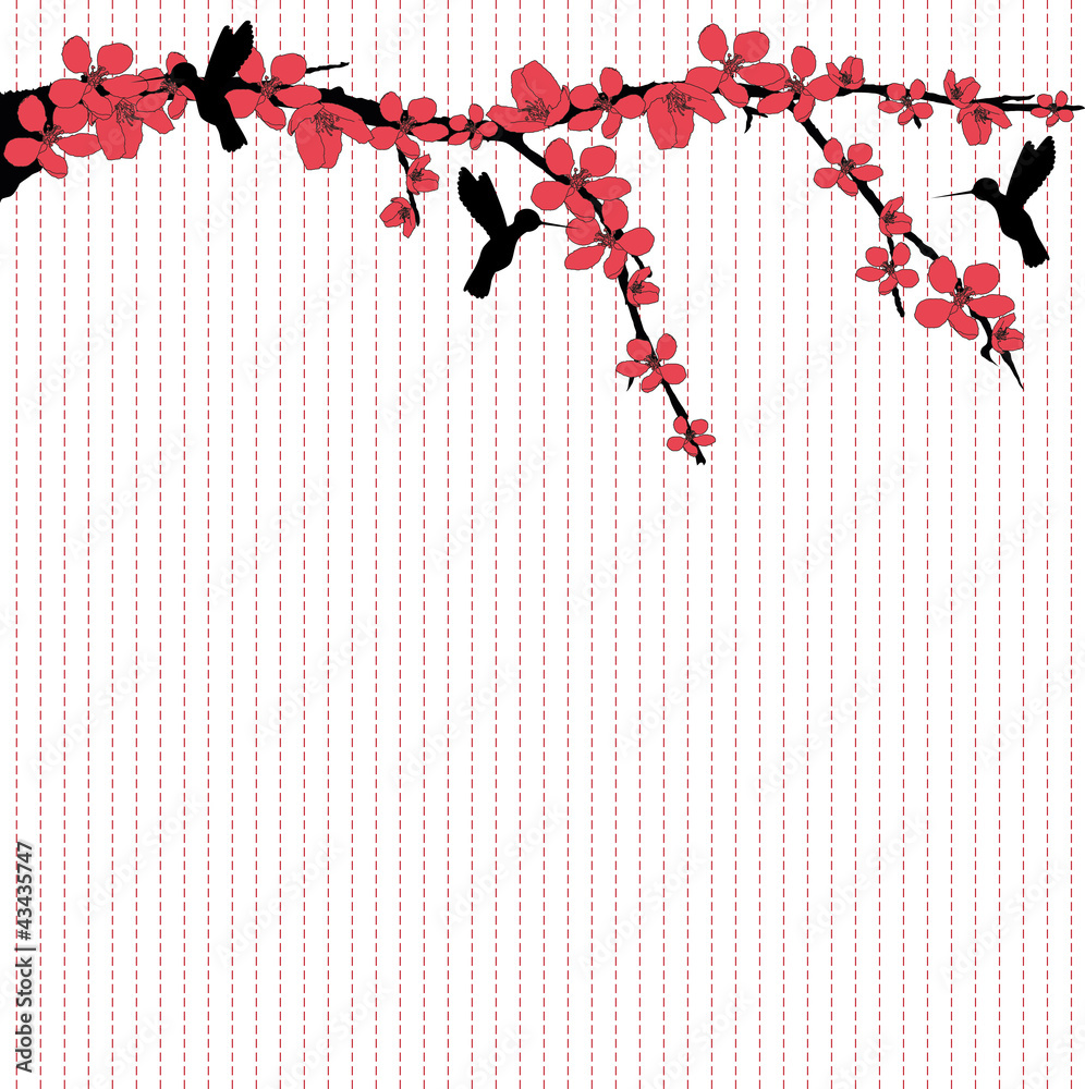 hummingbirds flying around cherry blossom
