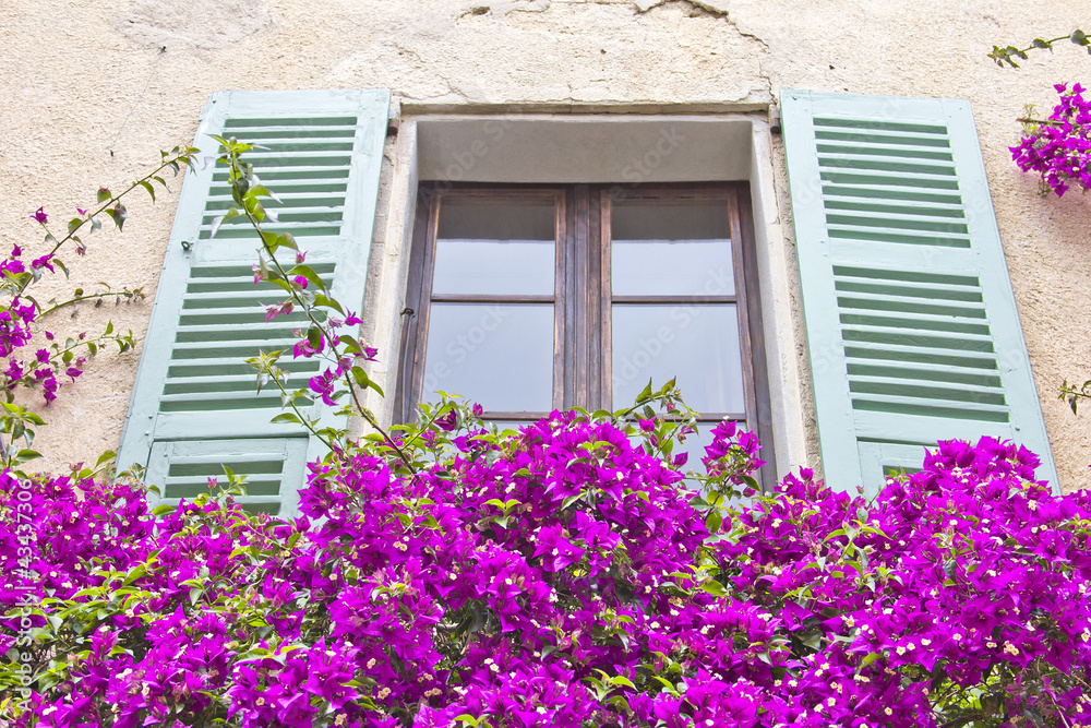 Window in Provence