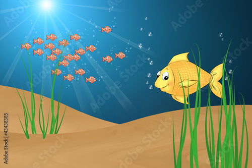 02 Fisch im Meer photo