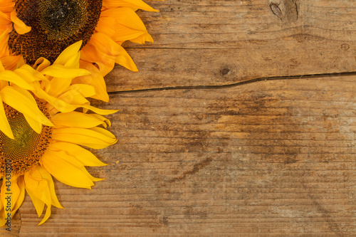 Fototapeta Naklejka Na Ścianę i Meble -  Sonnenblume auf altem Holz