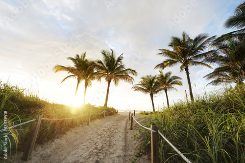 Trail to Miami Beach © Jesse Kunerth