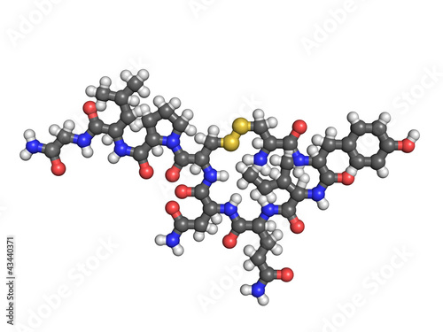 Oxytocin molecule on white