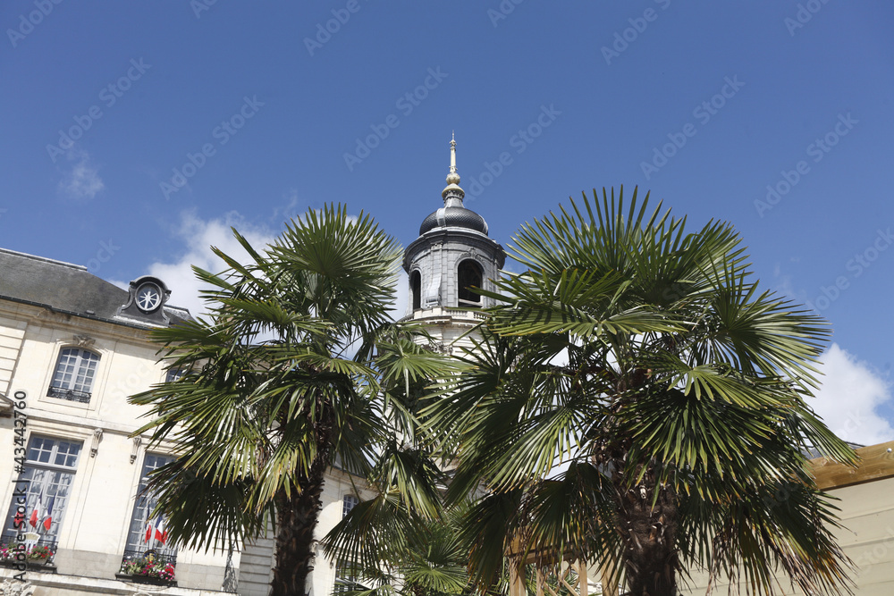 mairie sous le palmier