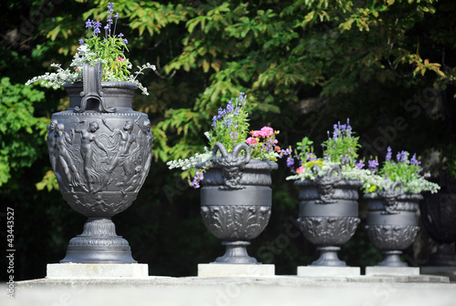 Old vases with flowers