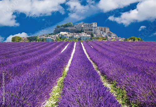 Lavande en Provence, village provençal en France #43444999