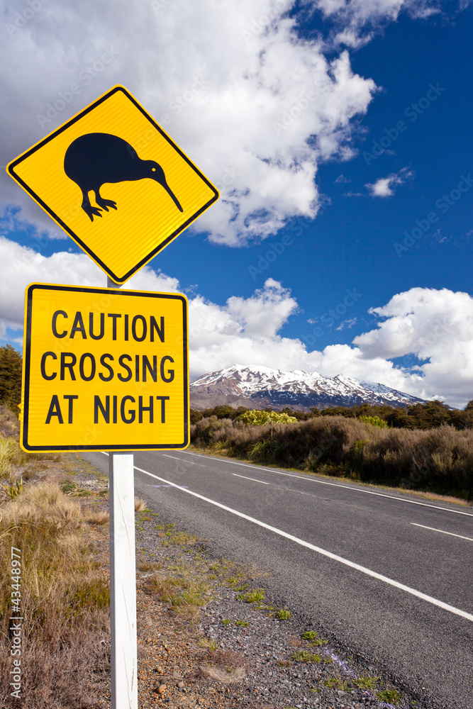 Kiwi Crossing road sign and volcano Ruapehu NZ Kiwi Crossing road sign and volcano Ruapehu NZ