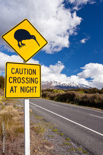 Fototapeta Naklejka Na Ścianę i Meble -  Kiwi Crossing road sign and volcano Ruapehu NZ