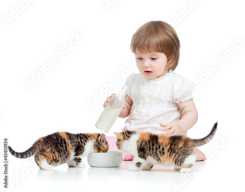 kid feeding cats with milk