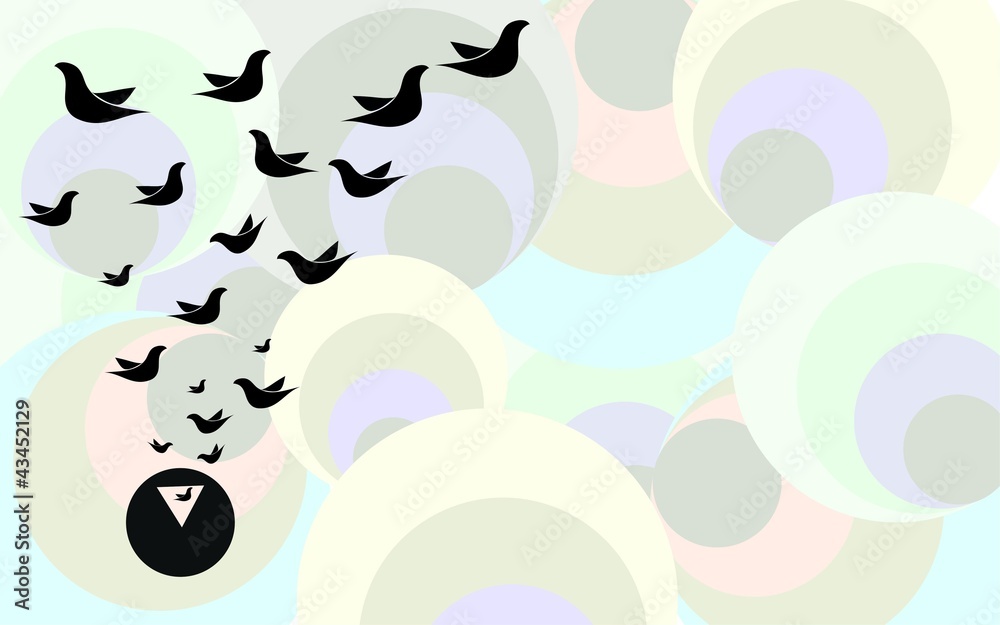 Obraz premium Freedom Birds