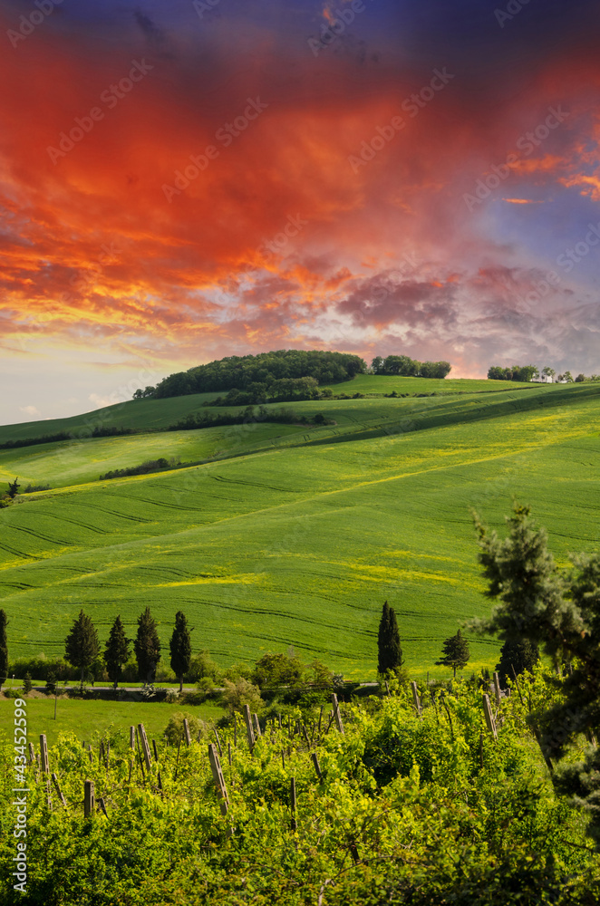 Tuscany Hills and Countryside in Chianti region