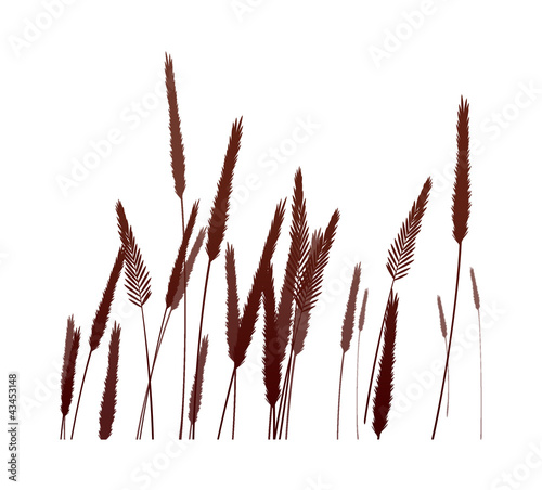 vector icon reed