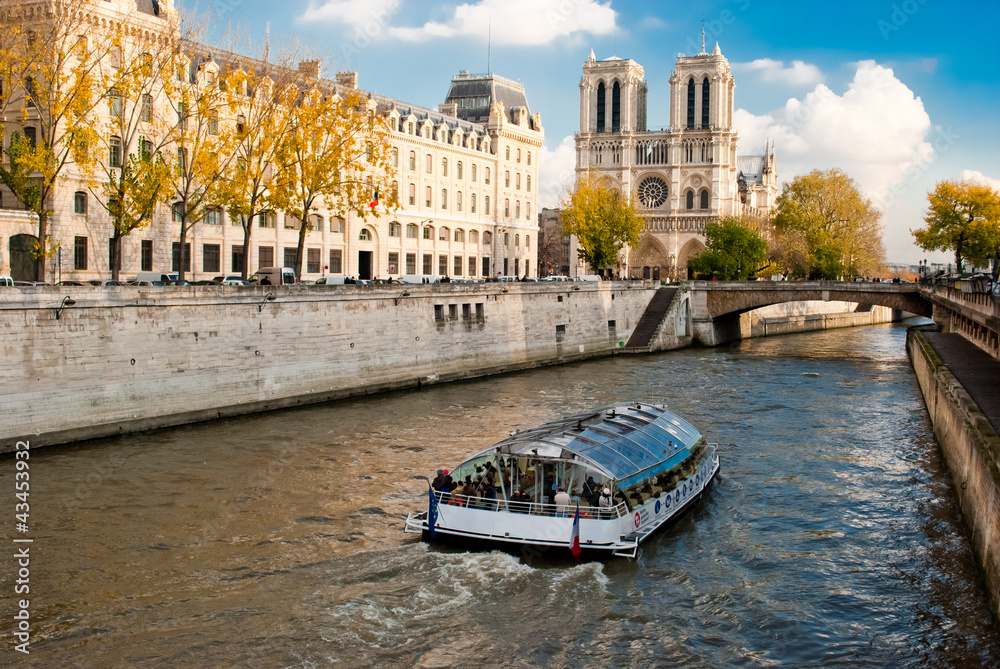 Notre Dame cathedral, Paris, France - obrazy, fototapety, plakaty 