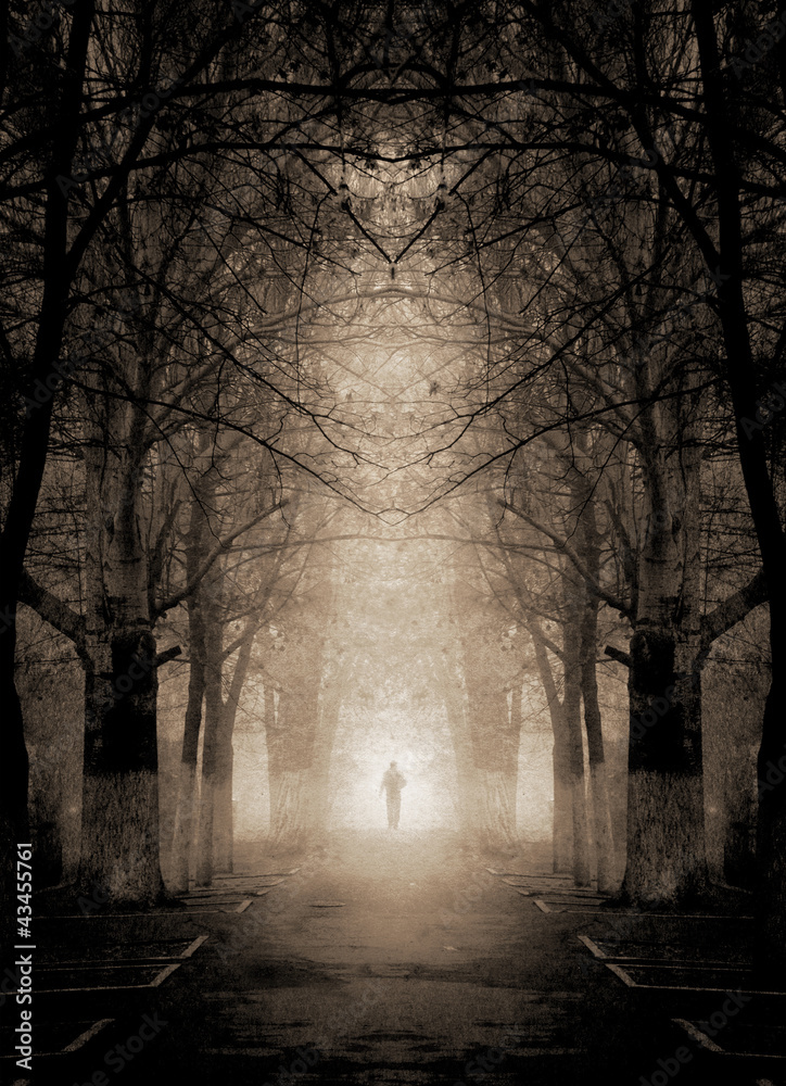 Obraz premium Gothic scene (grunge image).