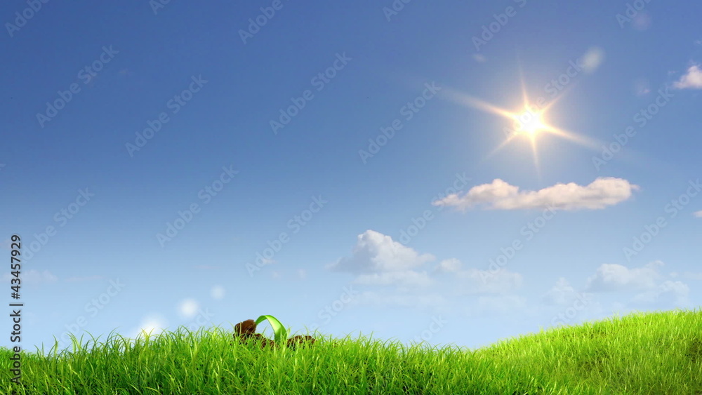 growing plant against sky background