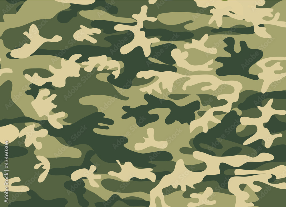 Fototapeta premium militare