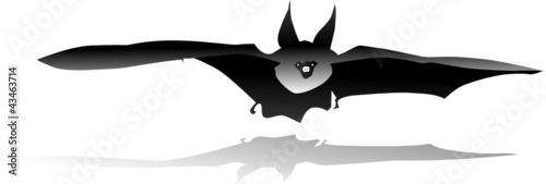 bat