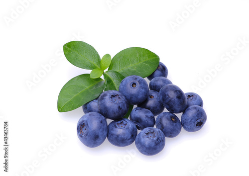 Bilberries