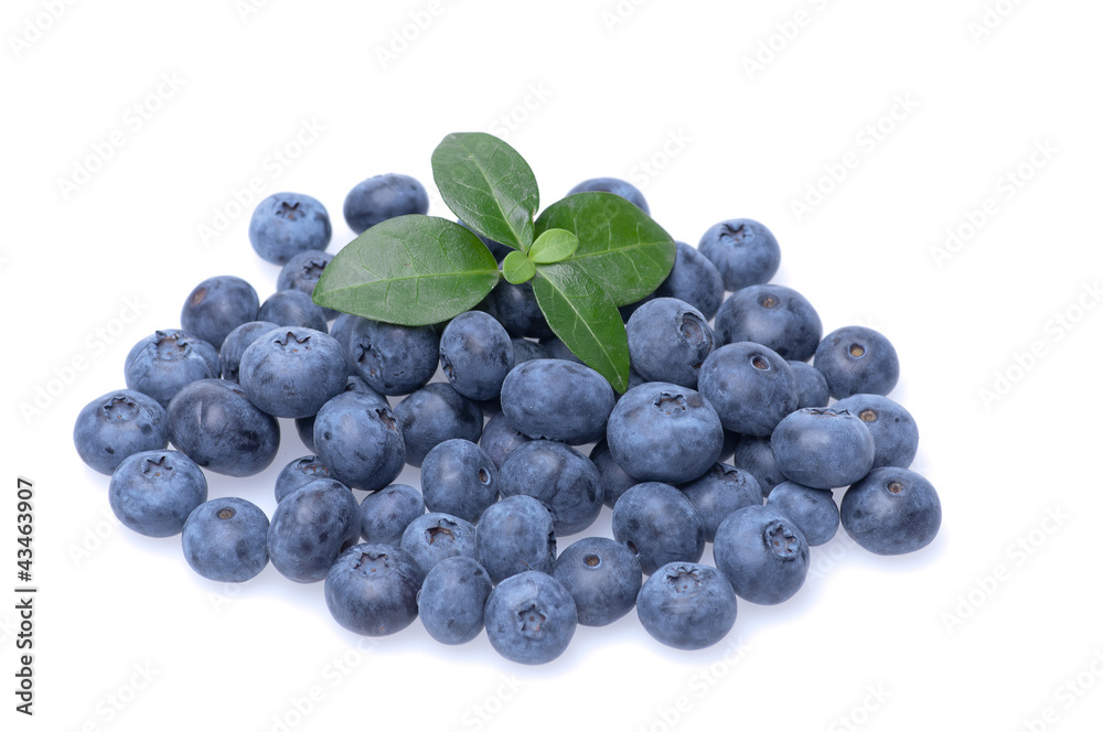 Bilberries Bilberries