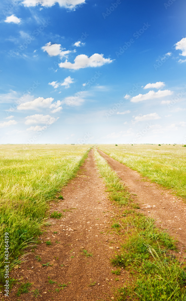 Road on green summer meadow. Road on green summer meadow.