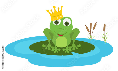 prince frog seat in a leaf pond