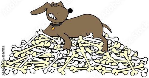 Dog protecting a pile of bones photo