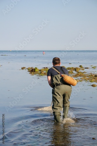 Pêcheur de crevettes grises