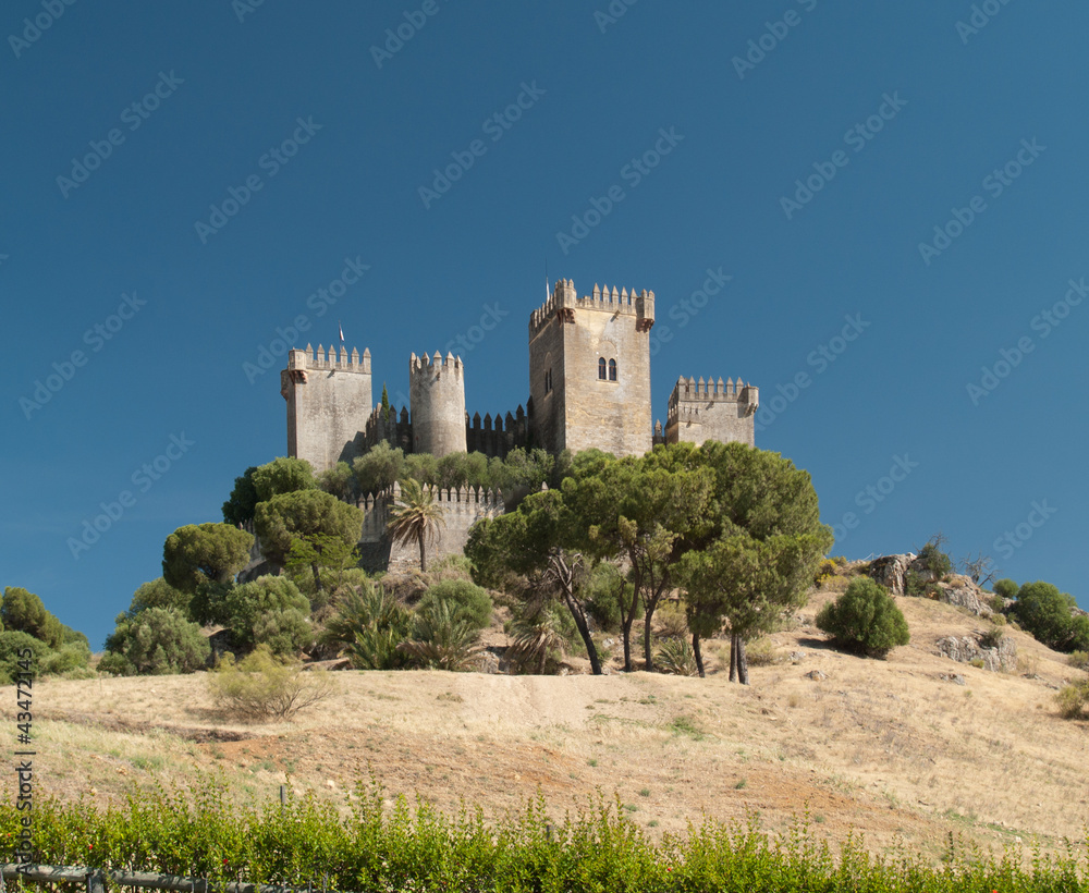 castle of Almodovar del Rio
