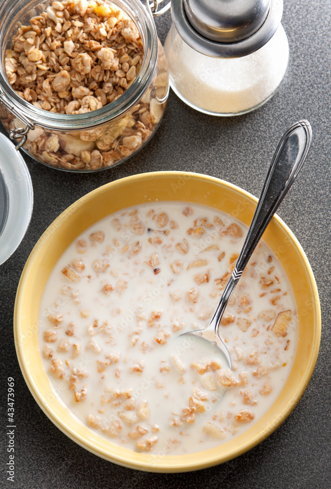 Bowl of healthy muesli and milk