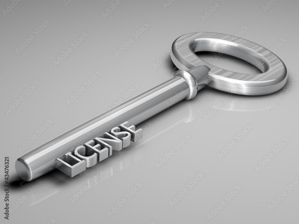License Key License Key