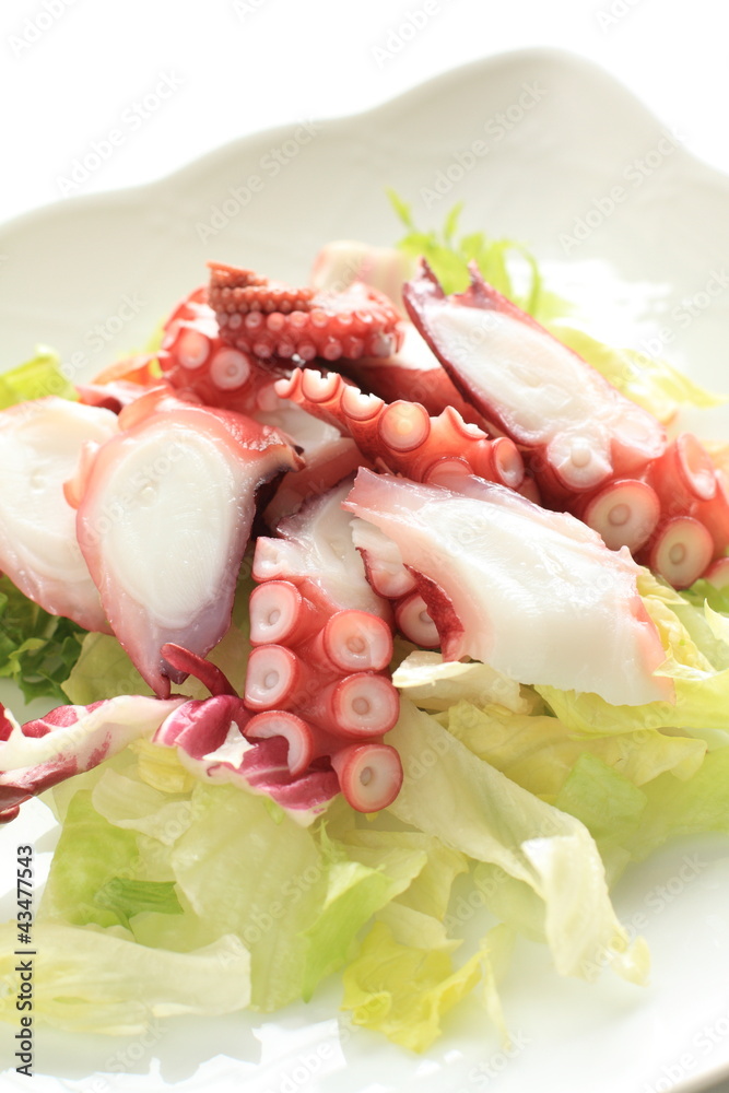 Freshness Octopus and lettuce for appeitzer image Freshness Octopus and lettuce for appeitzer image