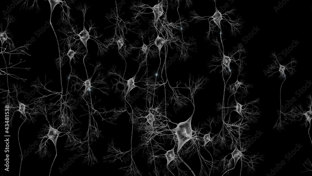 A network of brain cells firing out electrical signals.